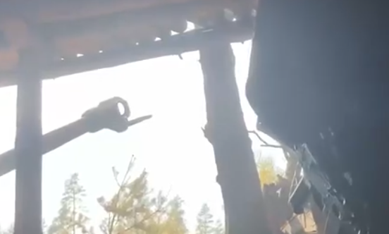 Rat...