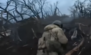 Рат