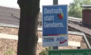 AfD