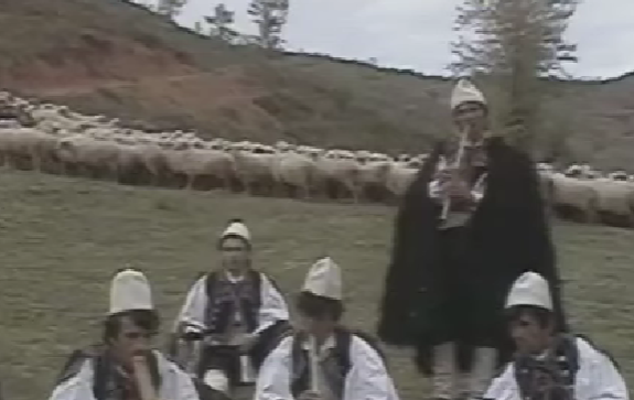 Албанац, Арнаут, Шиптар...